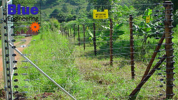 Electric Fencing and Razor Wire Fencing in Durban